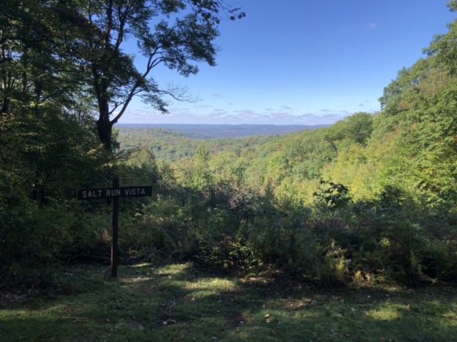 PLR - Sizerville - Elk State Forest - Salt Run Vista