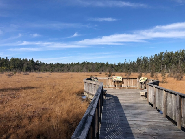 Laurel Highlands Gravel Routes Collection - Spruce Flat Bog