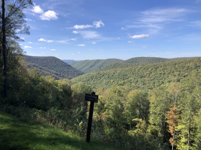 PLR - Sizerville - Elk State Forest - Square Timber Vista