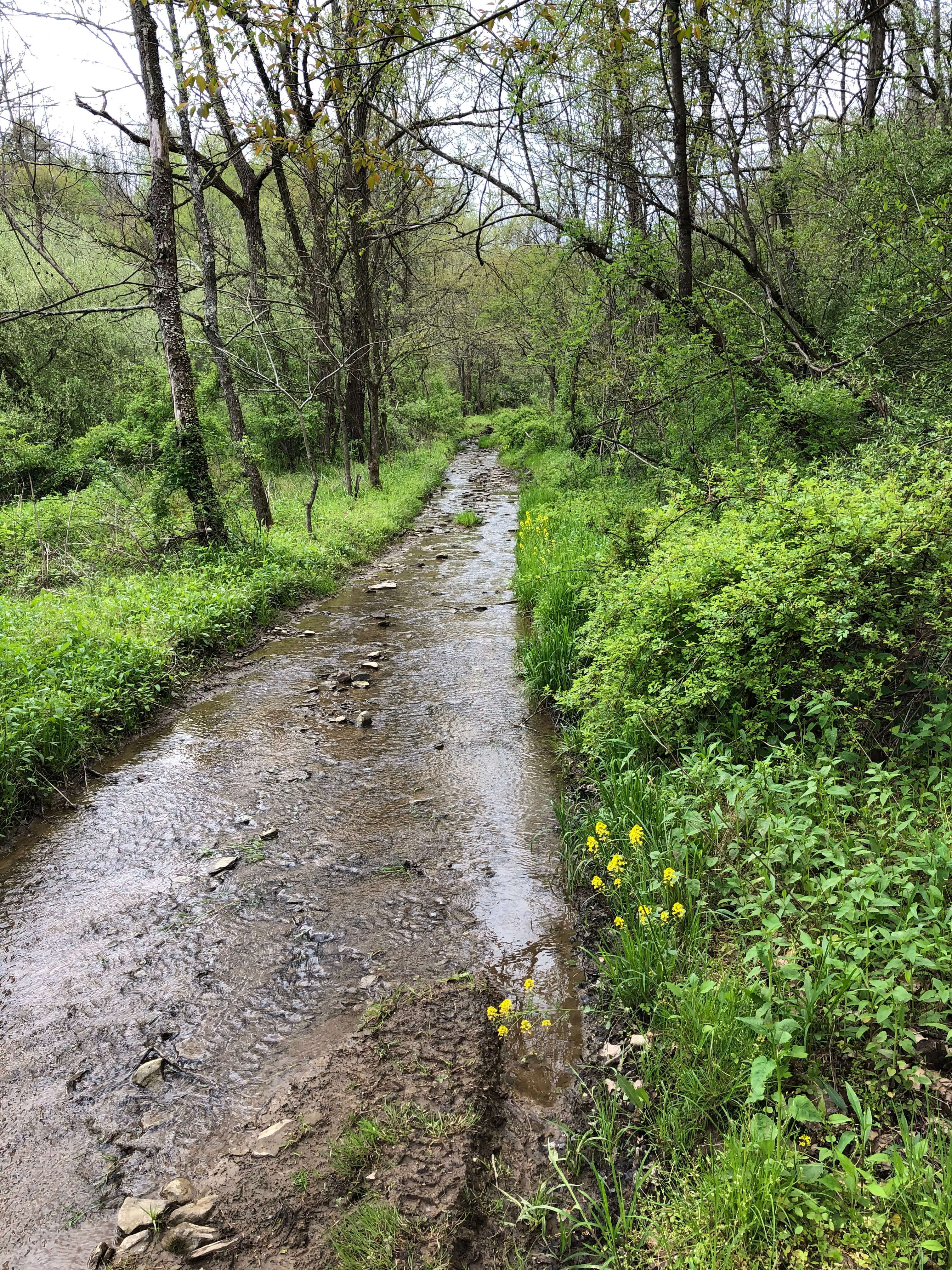 SweetWater Whiskey Rebellion Gravel Race - Teaser. This is Penn Rd from Part 1 of the Pint 90k, etc. of the Whiskey Rebellion. We couldn't logistically fit it in, but what a gem! Check it out if you can extend your route.