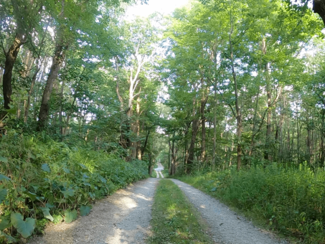 Laurel Highlands Gravel Routes Collection - T341 to Kuhntown Road