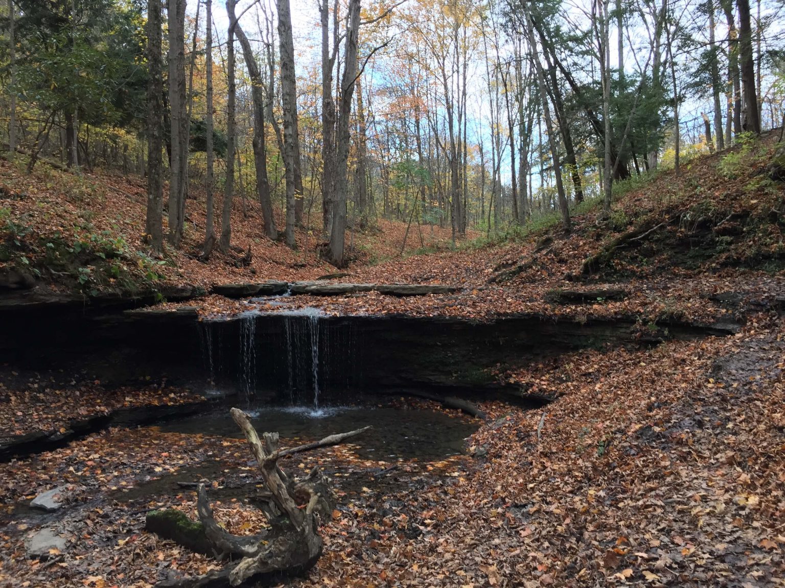 Settlers Cabin Park Trails: Mountain Biking and Trail Running - The ...