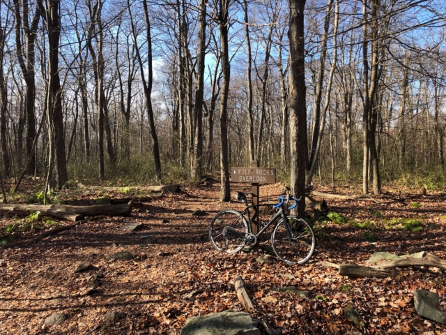 Laurel Highlands Gravel Routes Collection - Wolf Rocks Overlook Lean