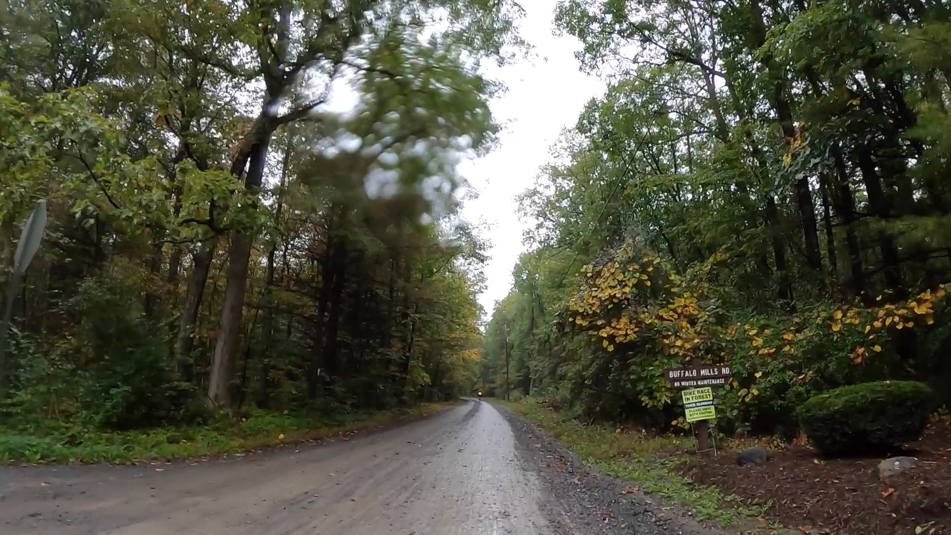 unPAved of the Susquehanna River Valley - 2021 - Entering the Forest