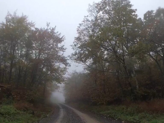 unPAved of the Susquehanna River Valley - 2021 - Hook Natural Area