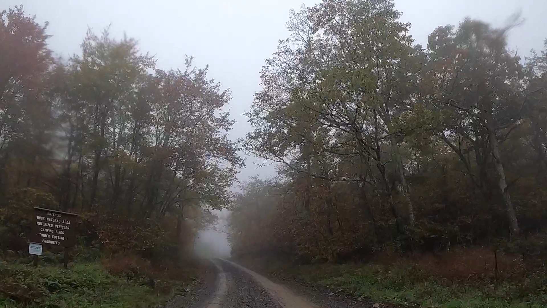 unPAved of the Susquehanna River Valley - 2021 - Hook Natural Area