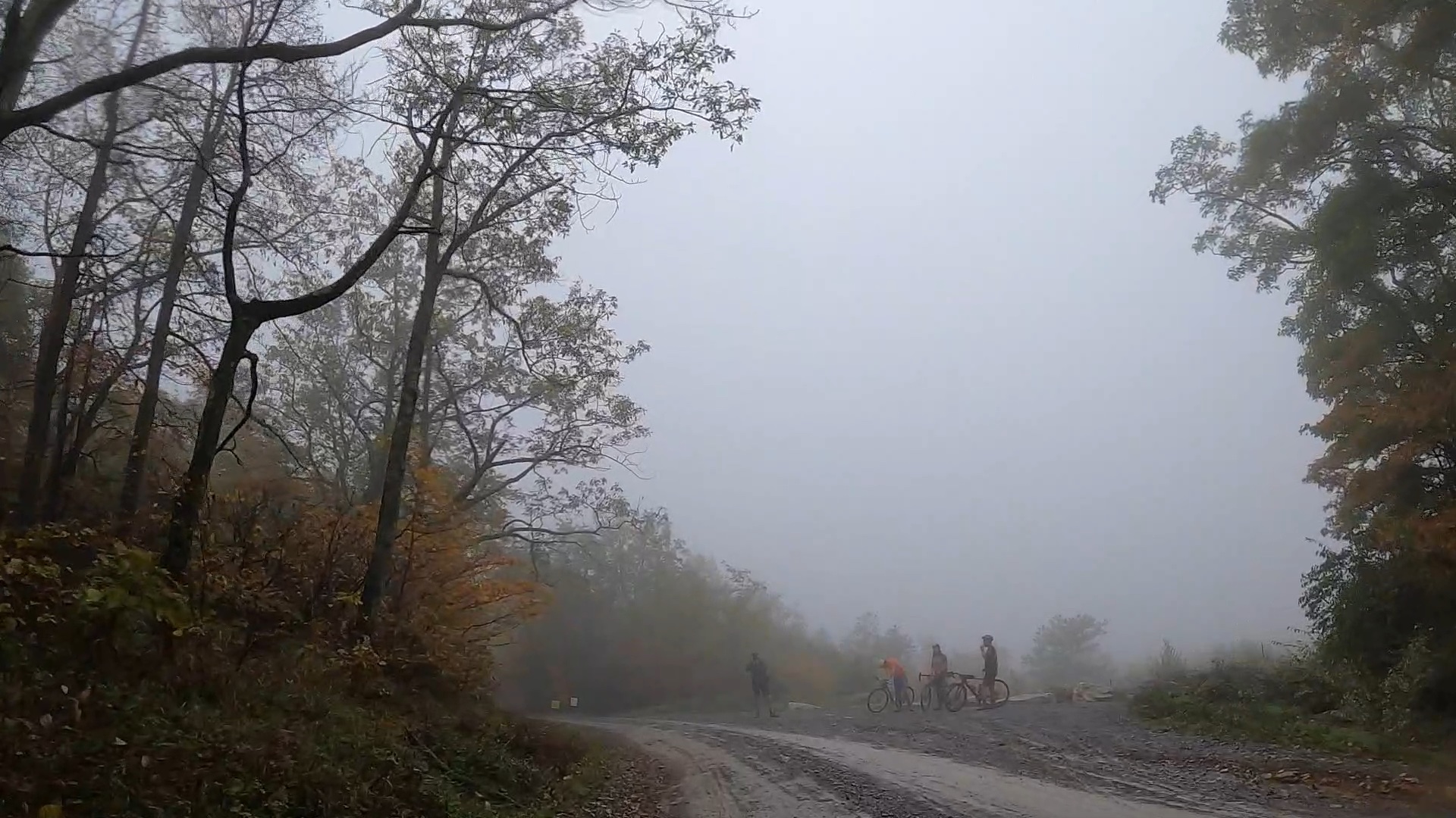 unPAved of the Susquehanna River Valley - 2021 - Jones Mountain Road Vista No Visibility